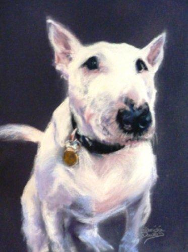 Alfie|Pastel|15x18inches