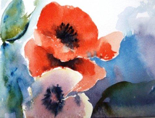 Poppies