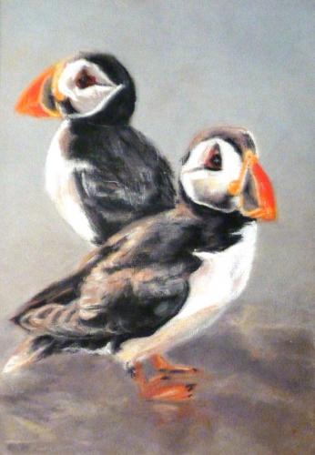 Puffins